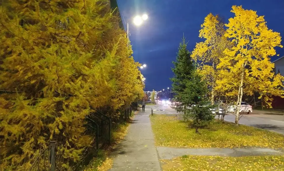 В этом году в Салехарде установлено почти 500 новых светильников