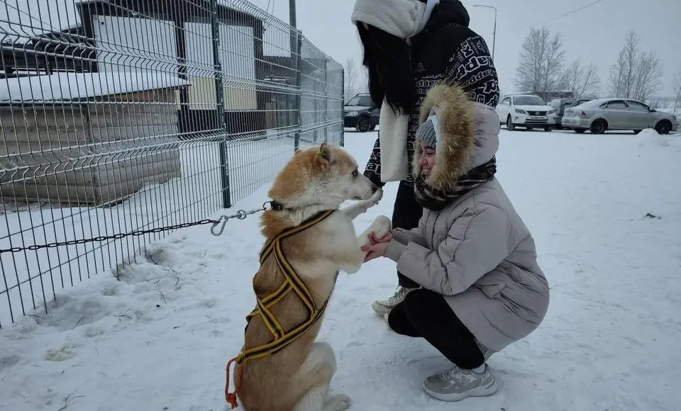 Эстафета добрых дел шагает по Ямалу