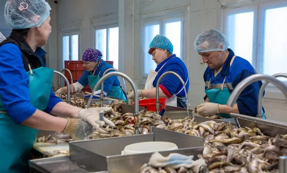 Агропром Ямала ждет новая поддержка