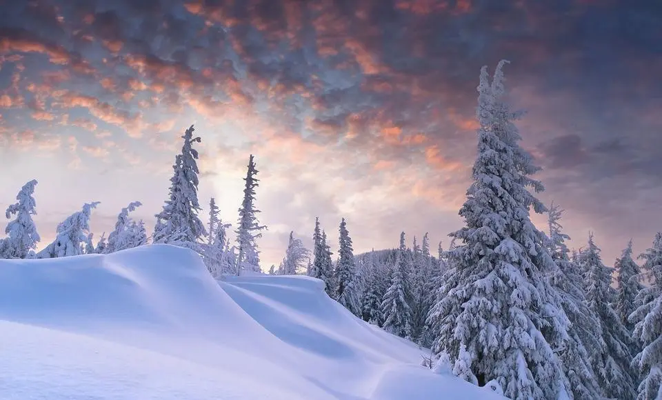 Обеспечение госконтроля за оборотом древесины обсудили на федеральном уровне