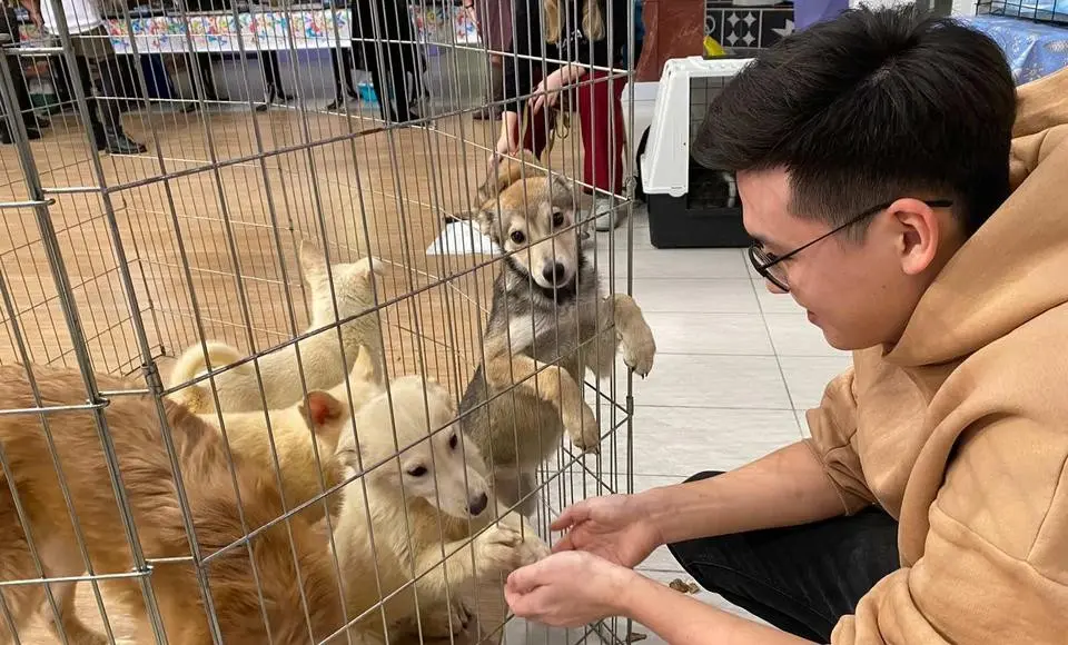 Сегодня в МРК «Полярис» проходит акция «Пушистый день»