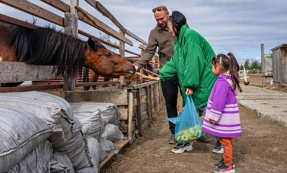 Активисты Салехарда провели субботник в районе лошадиной фермы