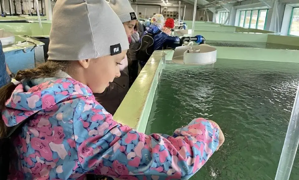 Юные экологи Салехарда выпустили мальков муксуна в реку Обь