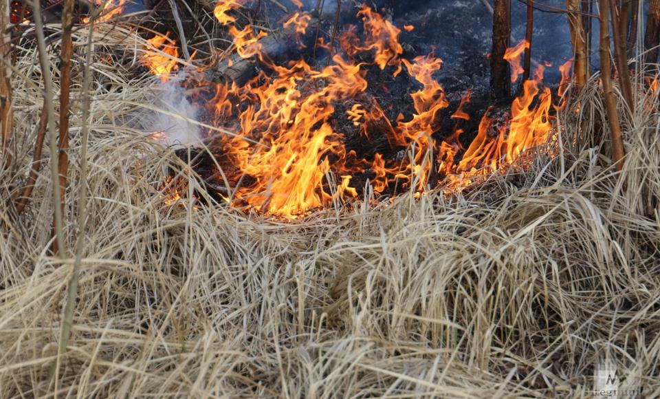 Два пожара зафиксировано на Ямале