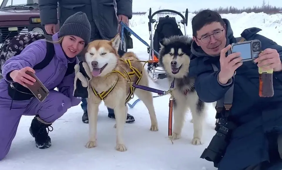 Приют «Дорога домой» открыл «Хаски-центр»