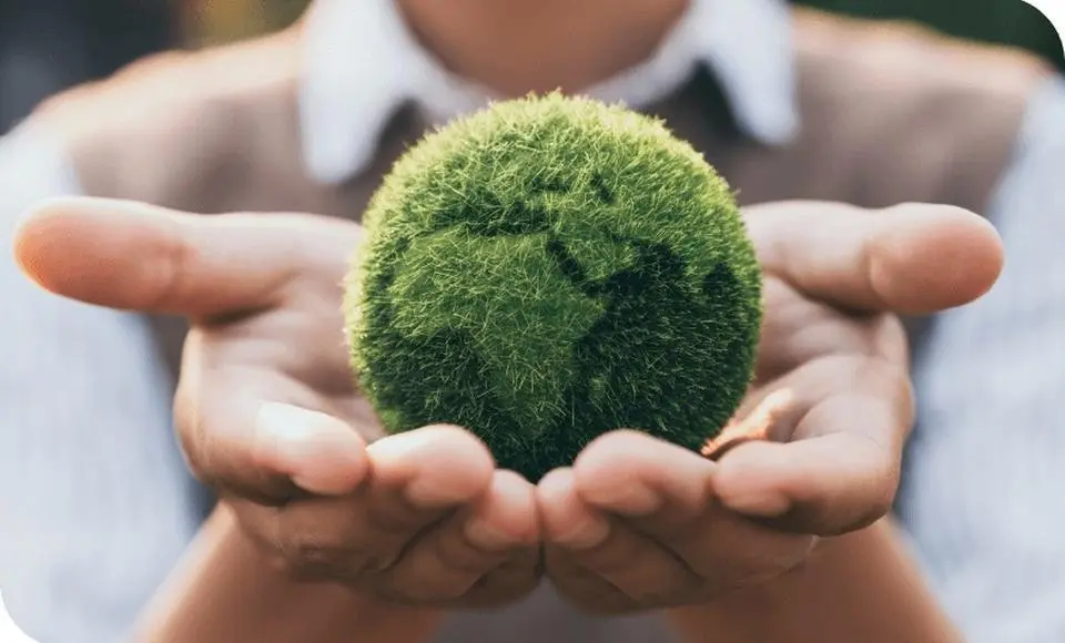 Салехардцев приглашают на международный климатический конкурс «Зелёная Евразия»