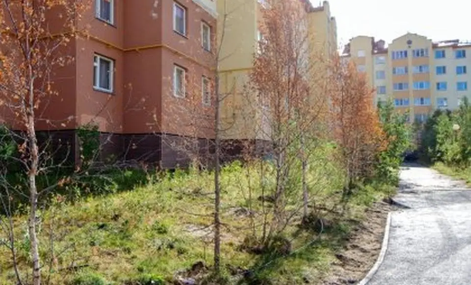 Когда деревья большие. Спрашивали? Отвечаем