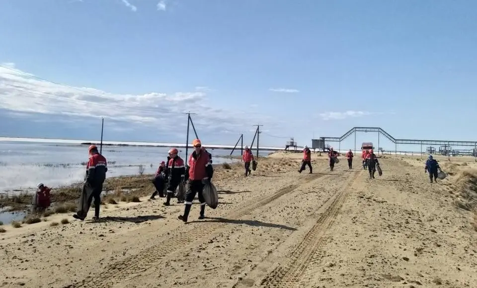 ТПП «Ямалнефтегаз» приняли активное участие во Всероссийской экологической акция «Чистые берега»