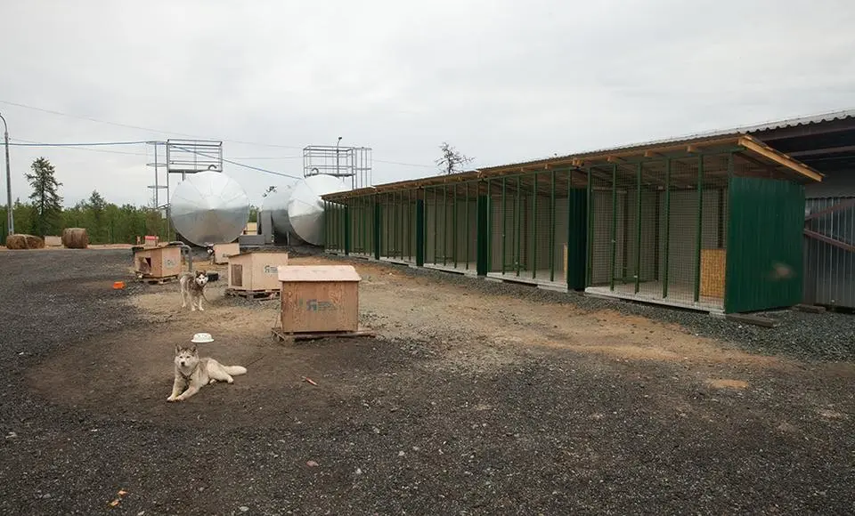 Хвостатые отмечают новоселье