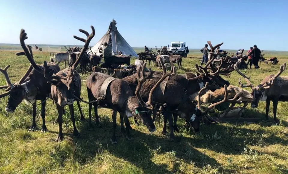 В конкурсе на гранты «Агростартап» девять бизнес-проектов