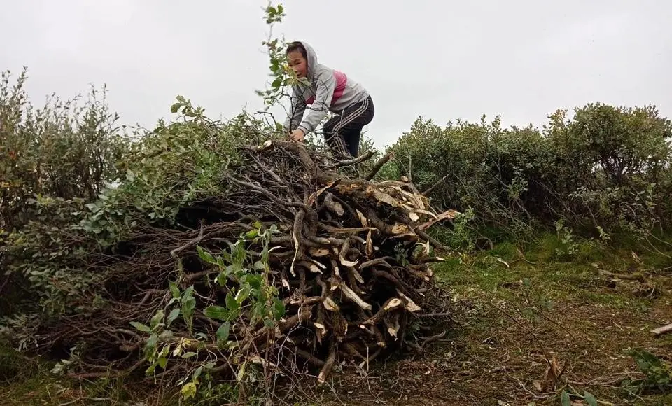 Искры большого костра