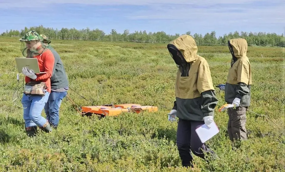 Студенты из разных стран изучают вечную мерзлоту Ямала