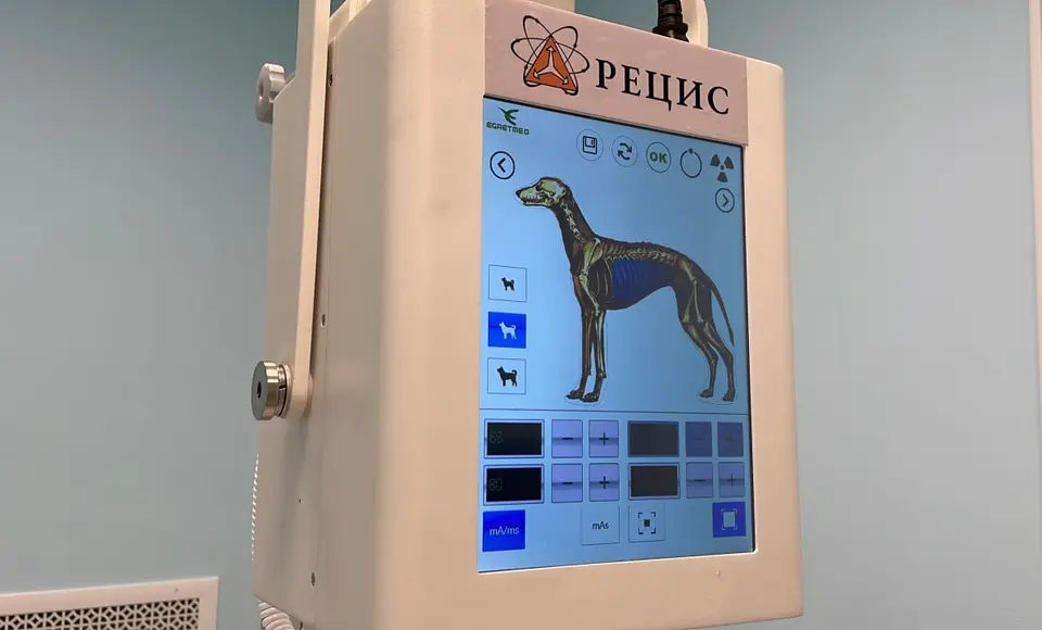 В Салехарде заработал первый рентген для животных