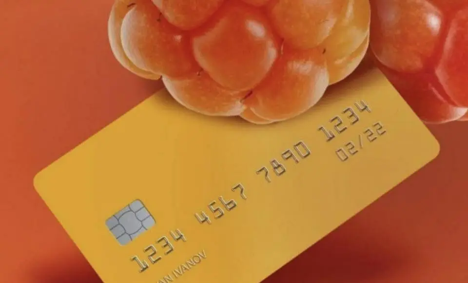 На Ямале выдано свыше семи тысяч электронных сертификатов многодетным семьям