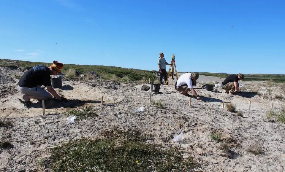 На Ямале нашли остатки древнего леса и орудия охотников