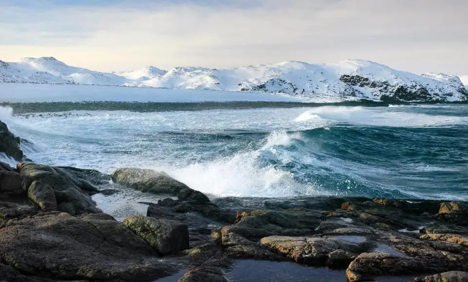 Сотрудничество в Арктике обсудят в окружной столице