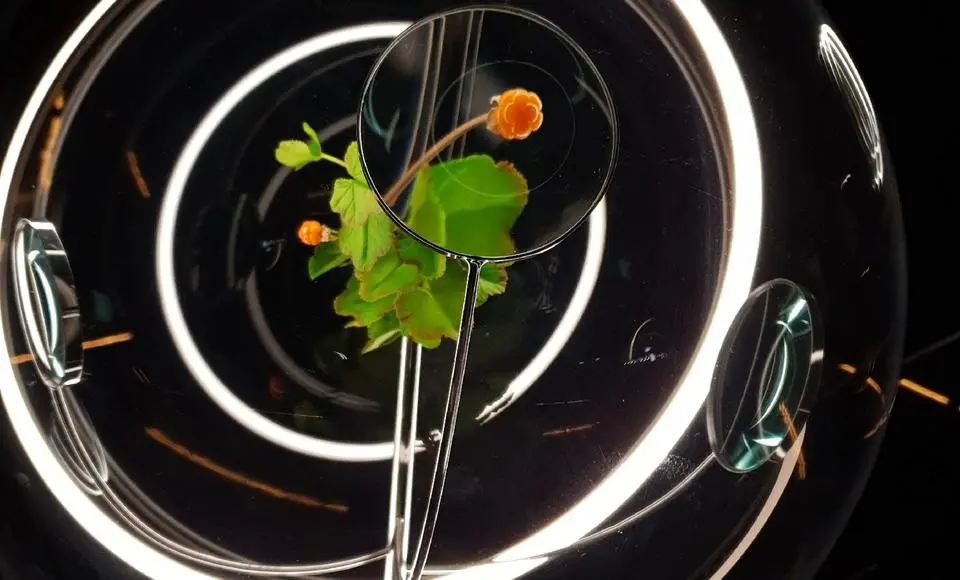 Выставка «Ямал. Тепло Арктики» получила международную премию