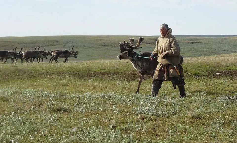 Дмитрий Артюхов поздравил представителей коренных народов