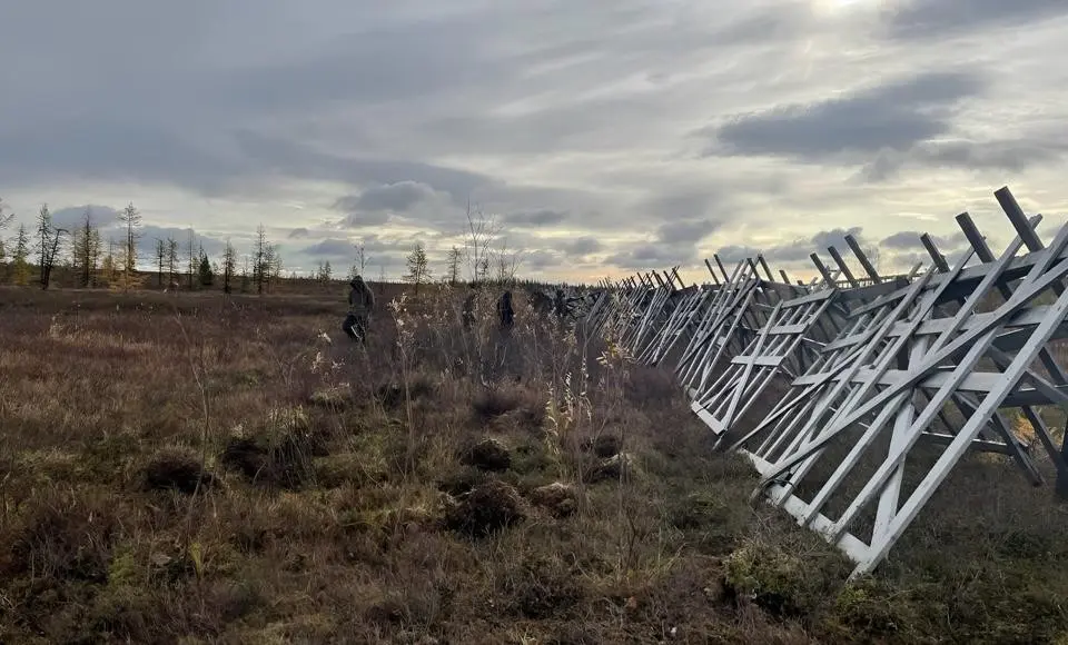 На Ямале запустили новый проект по экспериментальной посадке защитных лесополос вдоль дорог
