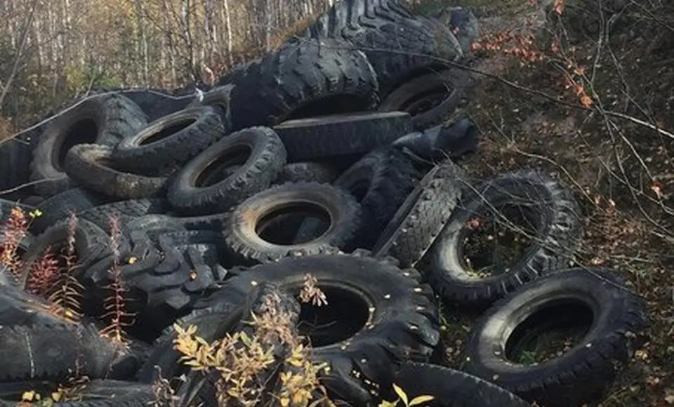 Очередная неприятная находка вблизи Салехарда