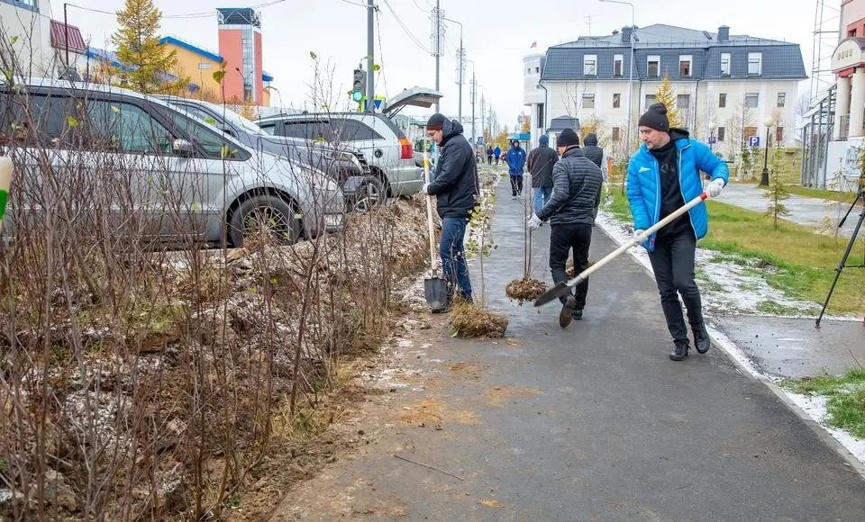 Гуляем по зелёной улице. Рано убирать лопаты и саженцы