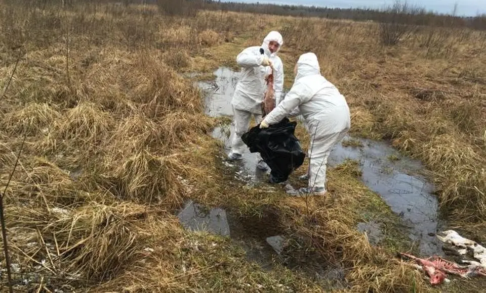 Недопущение несанкционированного захоронения биологических отходов