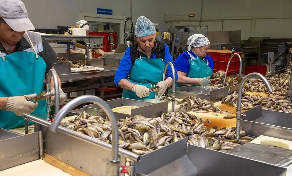 Ёрш в масле и в томате  Журналисты поставили оценку «отлично»