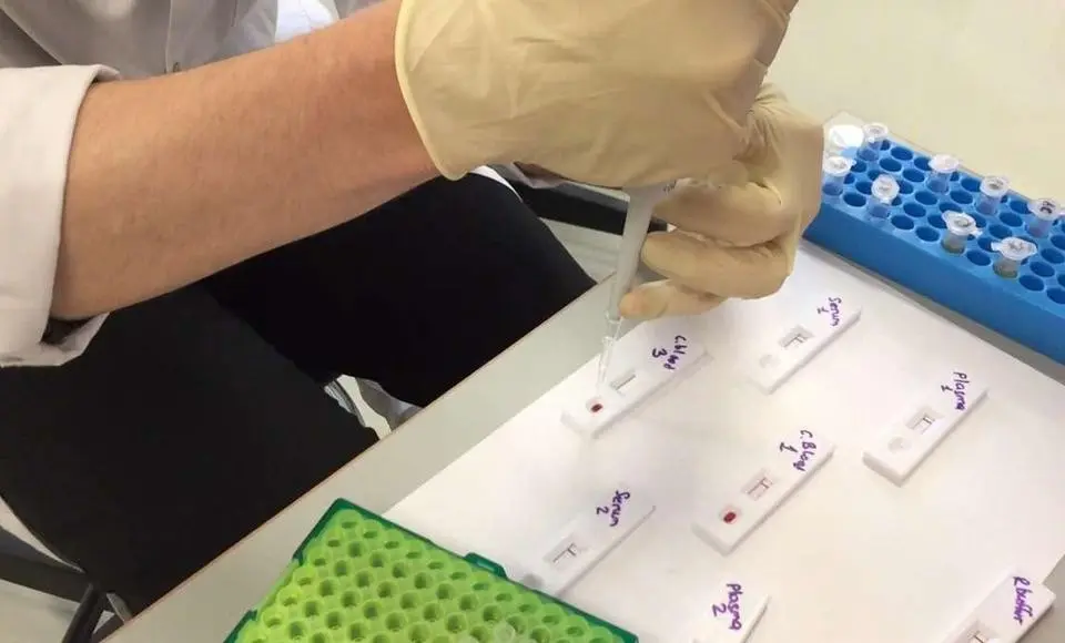 Результаты экспресс-тестов на коронавирус отобразят на Госуслугах