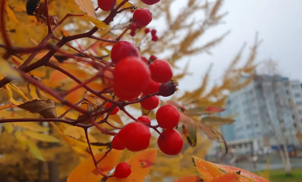 Коротко о важном