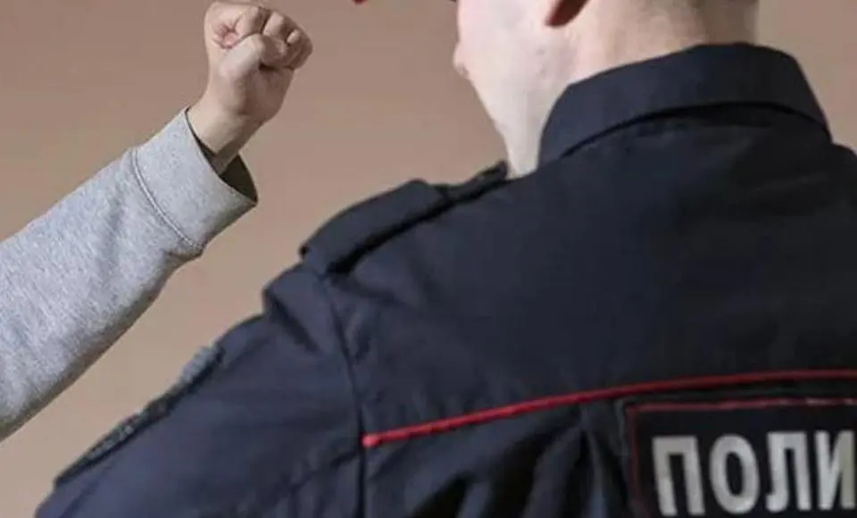 Нападение на полицейского закончилось для жительницы Салехарда условным сроком