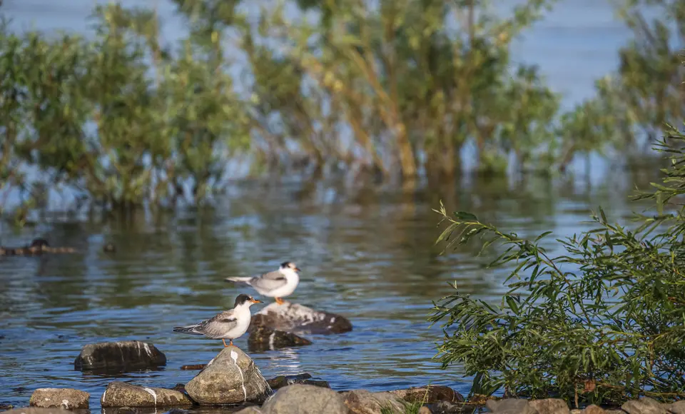Экспедиции масштабного фотопроекта "Заповедный Ямал" завершены