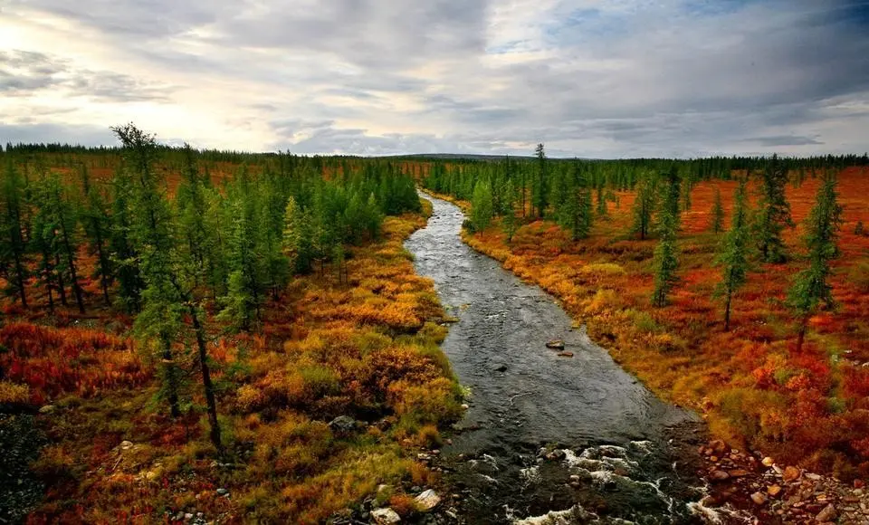 Технологические показатели наилучших доступных технологий утилизации и обезвреживания отходов