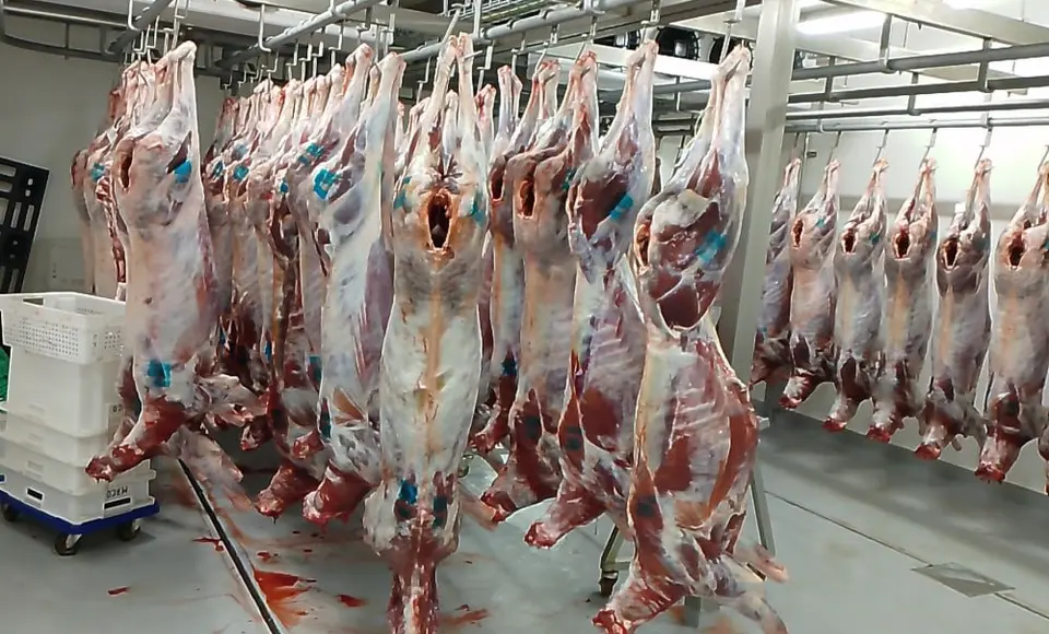 На Ямале растут объемы сдачи оленей на убой: Губернатор принял решение о выделении дополнительных средств