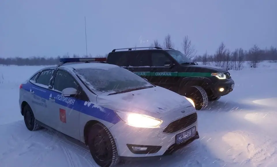 Контроль за вырубкой елей организовали в Салехарде и окрестностях