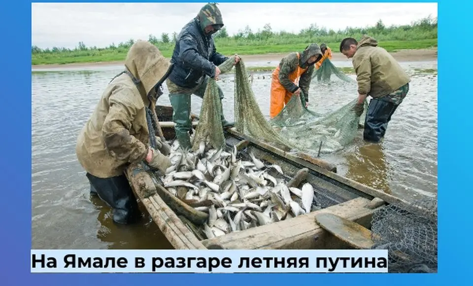 На Ямале официально открыта летняя путина