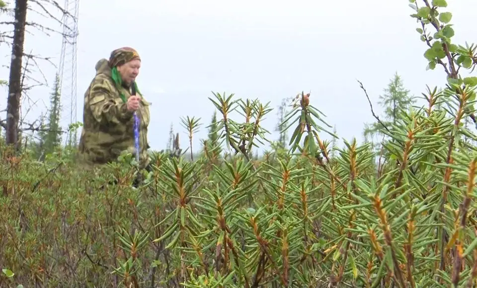 Салехардцы провели экофестиваль «Тундрофест»