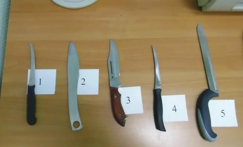 Судить за убийство сожителя будут жительницу окружной столицы