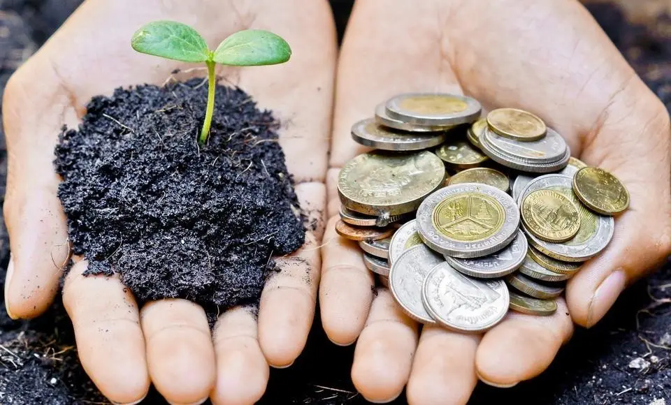 «Окрашенные» штрафы