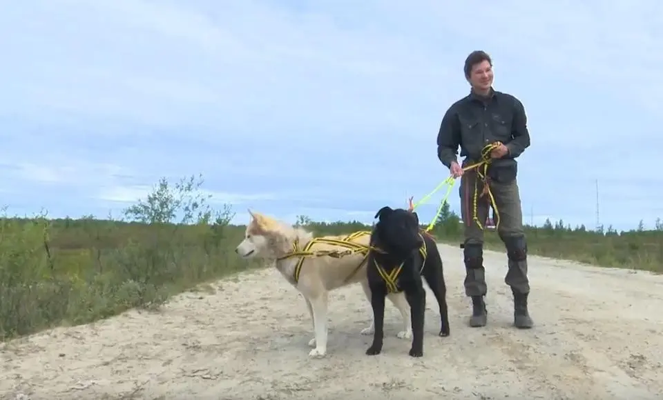 Хаски-Парк готовят к открытию в окружной столице