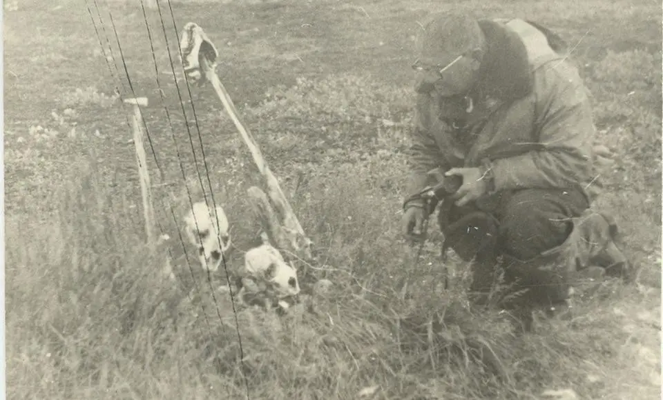 Прижигания в левом подреберье. Как врач изучал нетрадиционную медицину