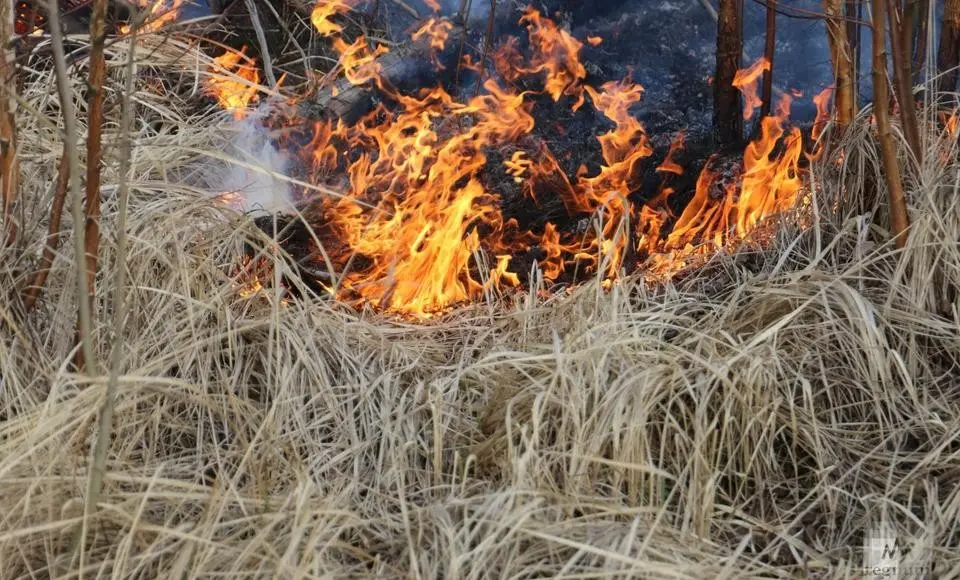 Два пожара зафиксировано на Ямале