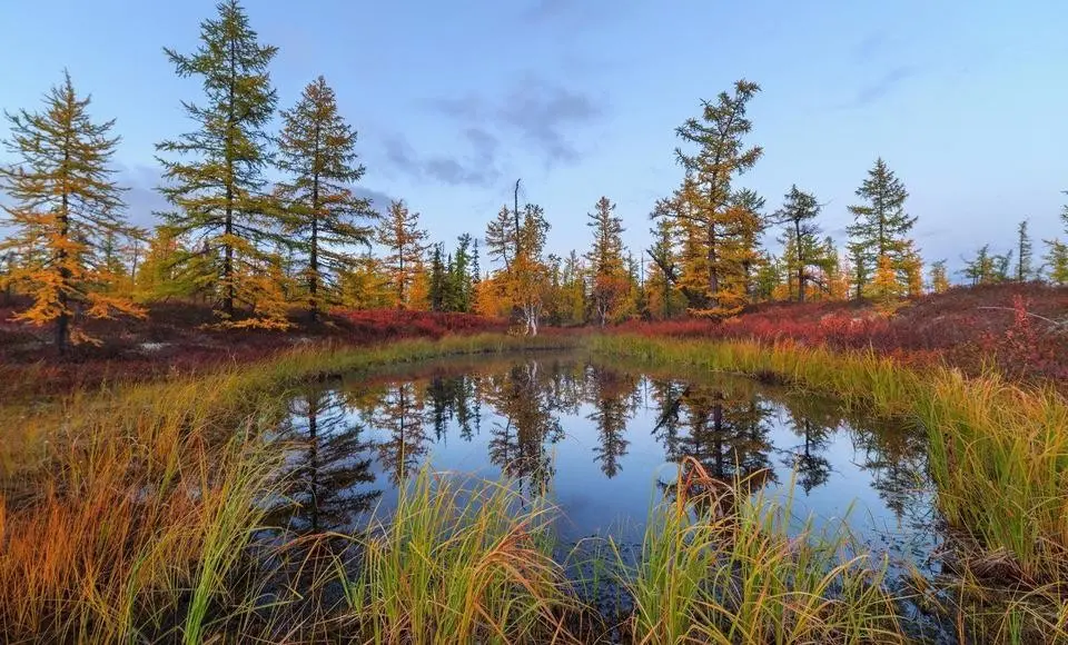 Ямальцы начинают охоту на пернатых