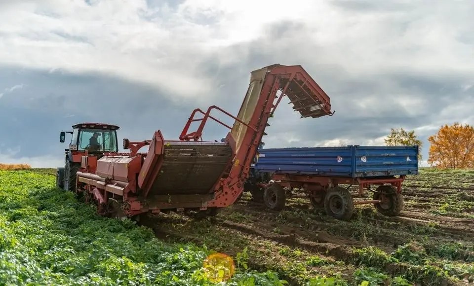 Ямальских фермеров поддержат рублем