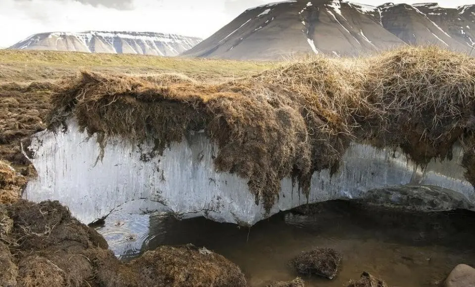 Ямал поддержит создание лаборатории ТГУ по исследованию мерзлоты