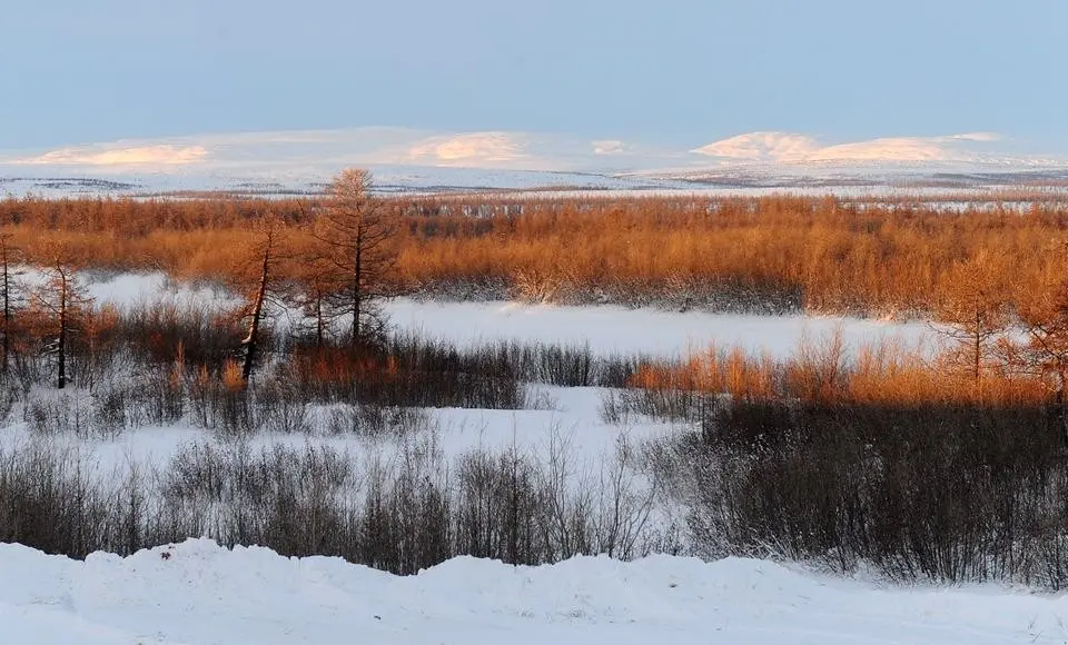 На Ямале приступили к инвентаризации охотничьих ресурсов