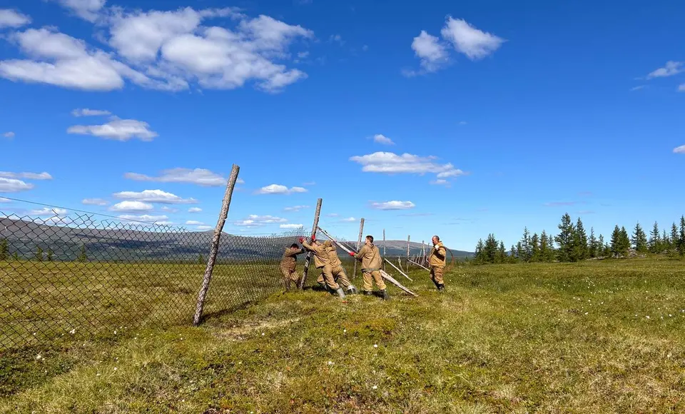 Добровольцы завершили заключительную миссию в этом году в природном парке «Ингилор»