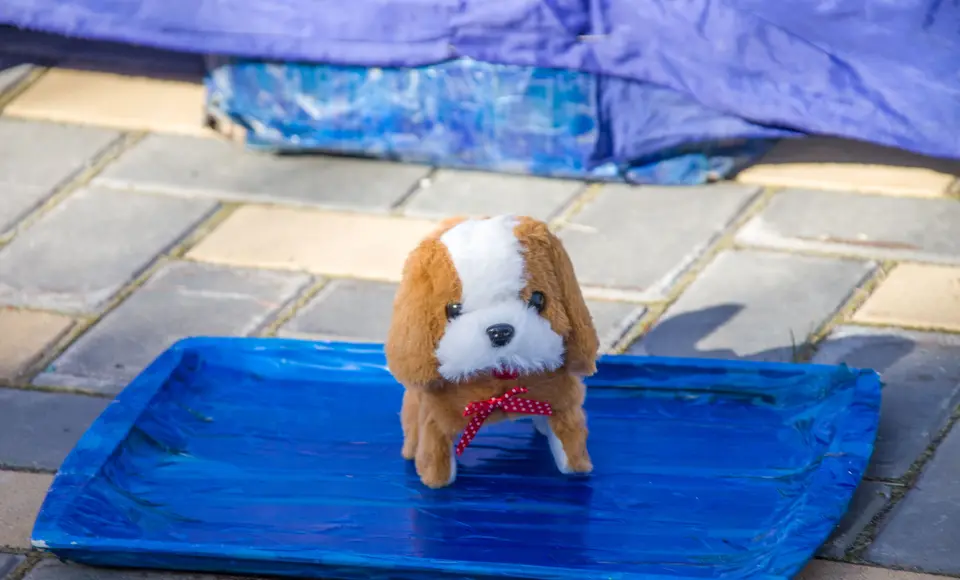 В Салехарде появится частный крематорий для животных