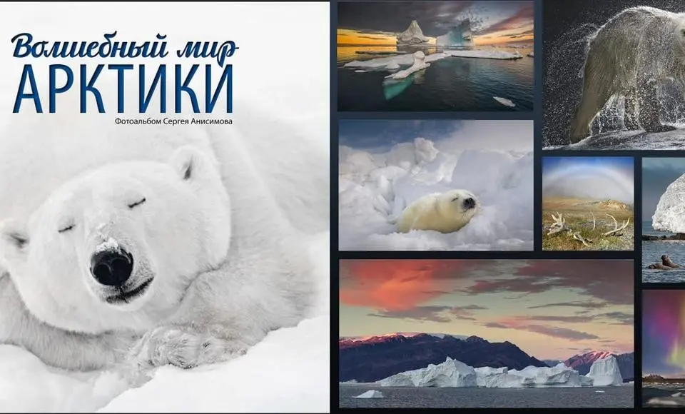 В Национальной библиотеке Ямала презентуют фотоальбом Сергея Анисимова «Волшебный мир Арктики»