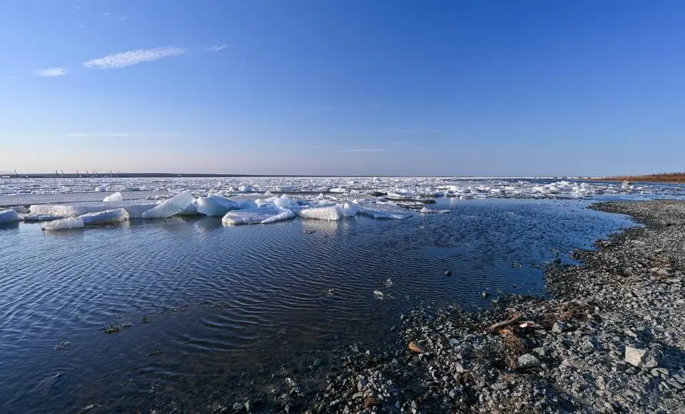 Безопасное русло: ученые подтверждают отличное качество воды в реке Обь на Ямале