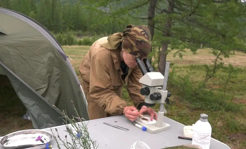 Исследуем новые маршруты, почвы, флору и фауну